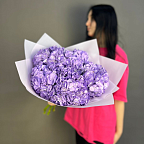 Гортензия №1