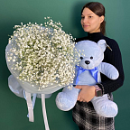 Гипсофилы №10