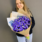 25 ирисов