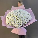 41 хризантема