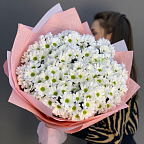 Ромашки 989